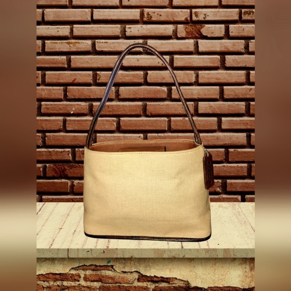 COACH 6181 Canvas Mini Bag